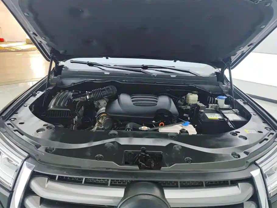 Cannon 2021 2.0T Passenger Global Version Automatic Diesel Two-wheel Drive Comfort Standard Box GW4D20M купить на сайте DeffCars