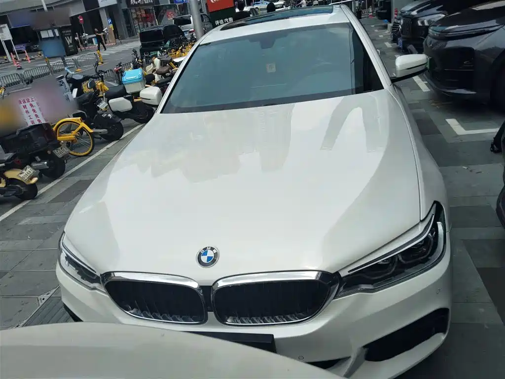 BMW 5 Series 2020 530Li Leading M Sports Package купить на сайте DeffCars