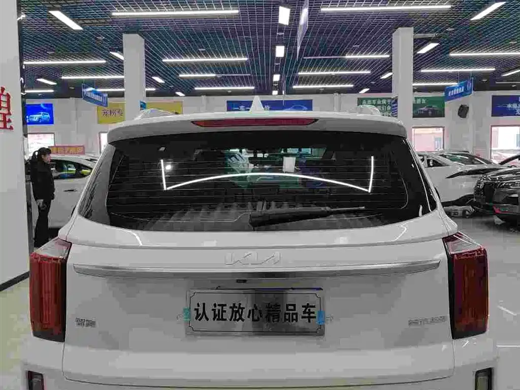 Zhipao 2021 Ace 2.0L Wonderful Edition купить на сайте DeffCars