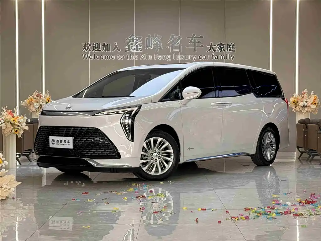 Century 2025 2.0T seven-seat Yuanshi Edition купить на сайте DeffCars