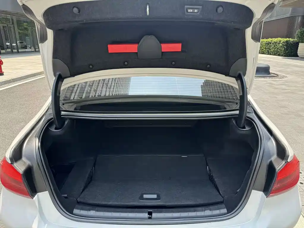BMW 5 Series New Energy 2020 Mileage Upgraded Version 530Le Luxury Package купить на сайте DeffCars