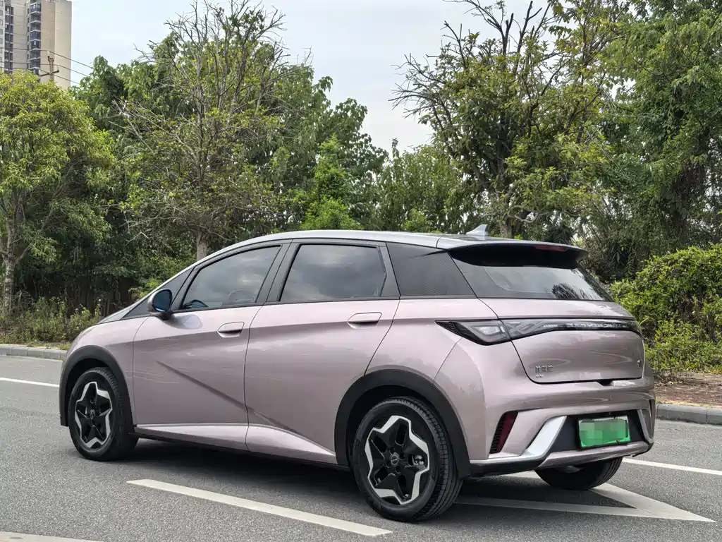 Dolphin 2021 405km Fashion Edition купить на сайте DeffCars
