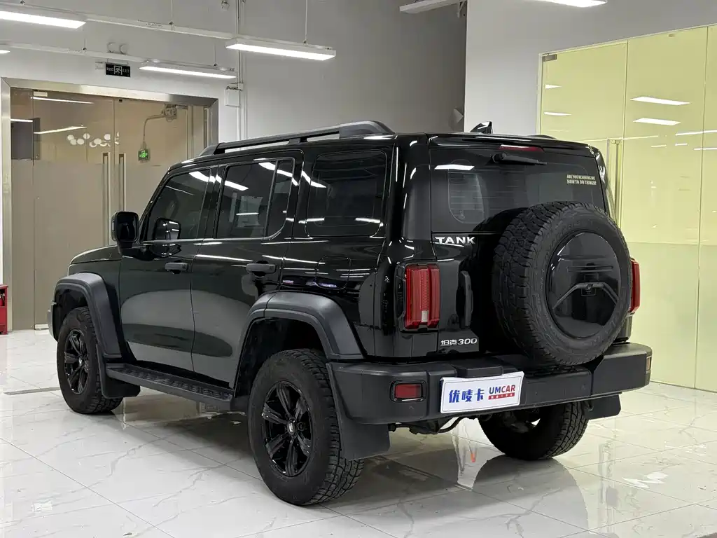 Tank 300 2021 Off-Road Version 2.0T Conqueror купить на сайте DeffCars