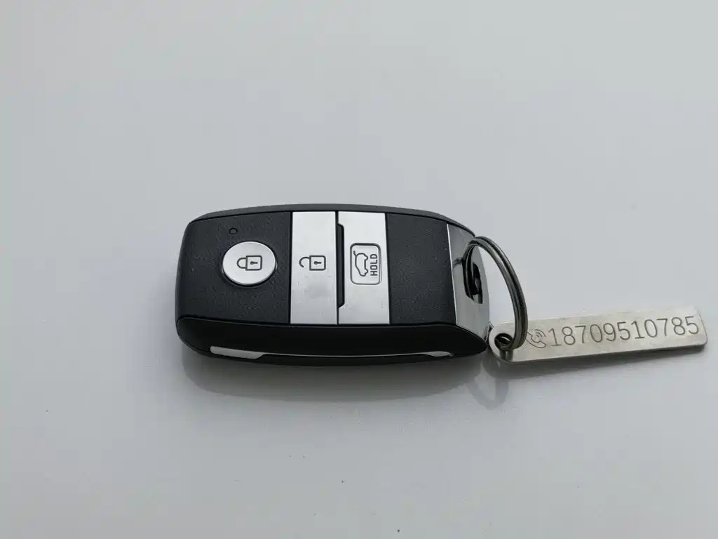 Kia KX7 2020 2.0T automatic two-wheel drive GLS 7 seats купить на сайте DeffCars