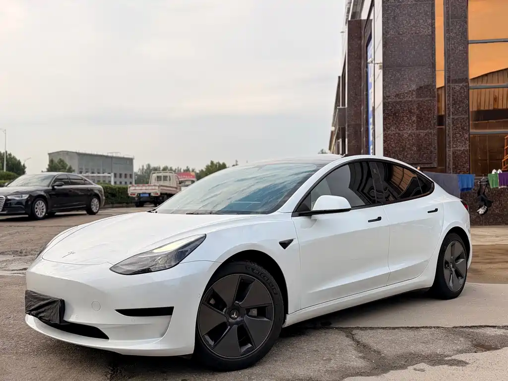 Model 3 2022 rear-wheel drive купить на сайте DeffCars