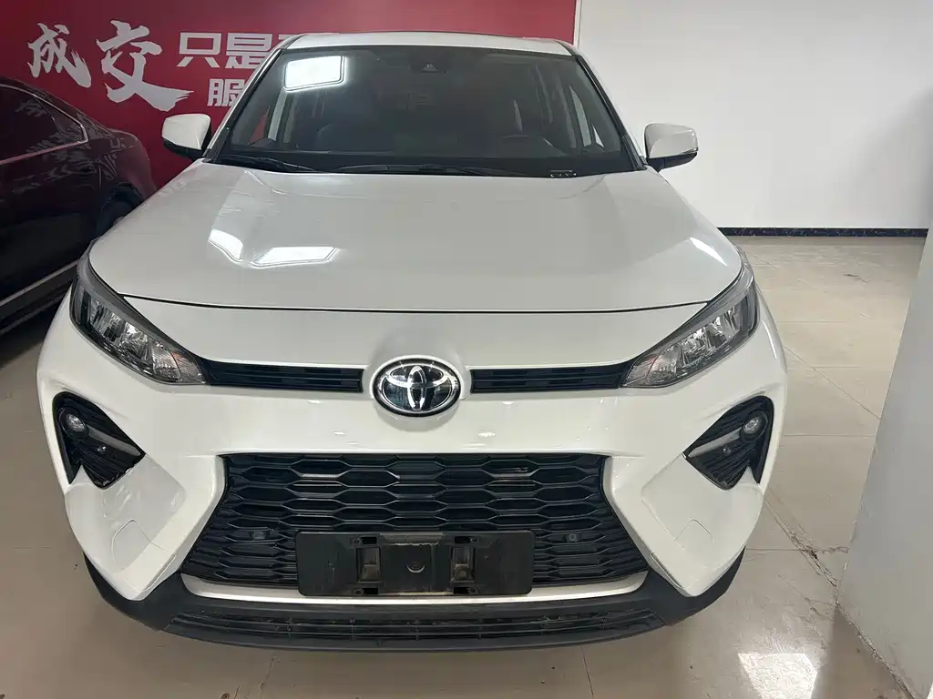 Wilanda 2021 2.0L CVT two-wheel drive luxury version купить на сайте DeffCars