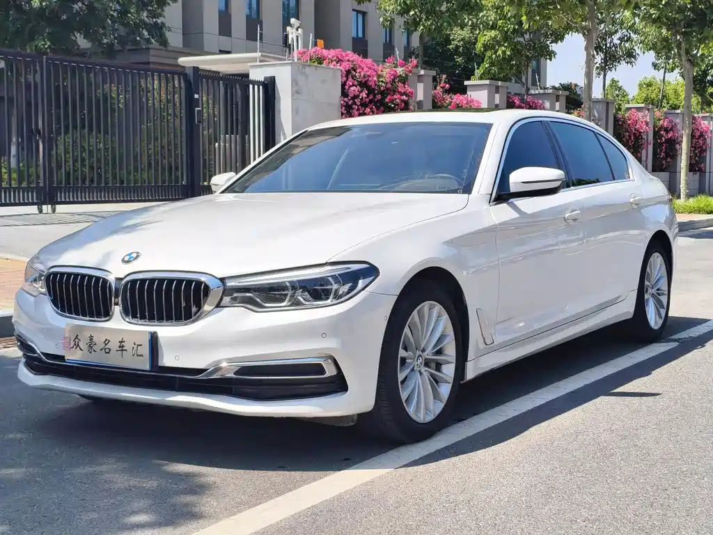 BMW 5 Series 2020 530Li Exclusive Luxury Package купить на сайте DeffCars