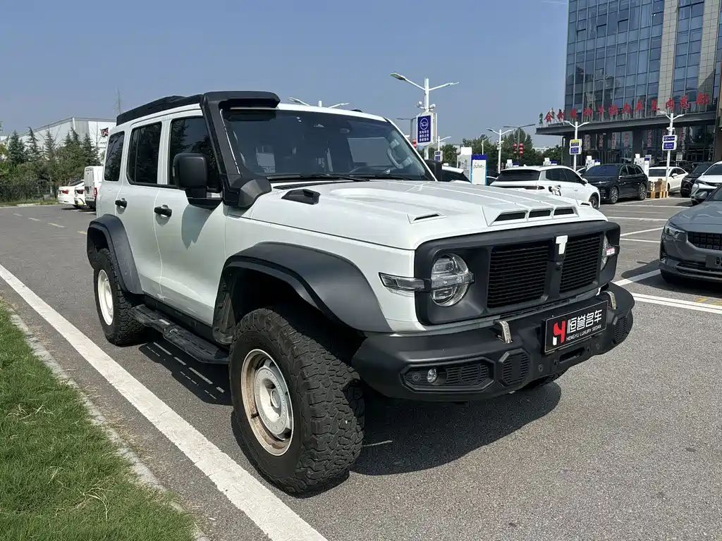 Tank 300 2023 2.0T Iron Cavalry 02 купить на сайте DeffCars