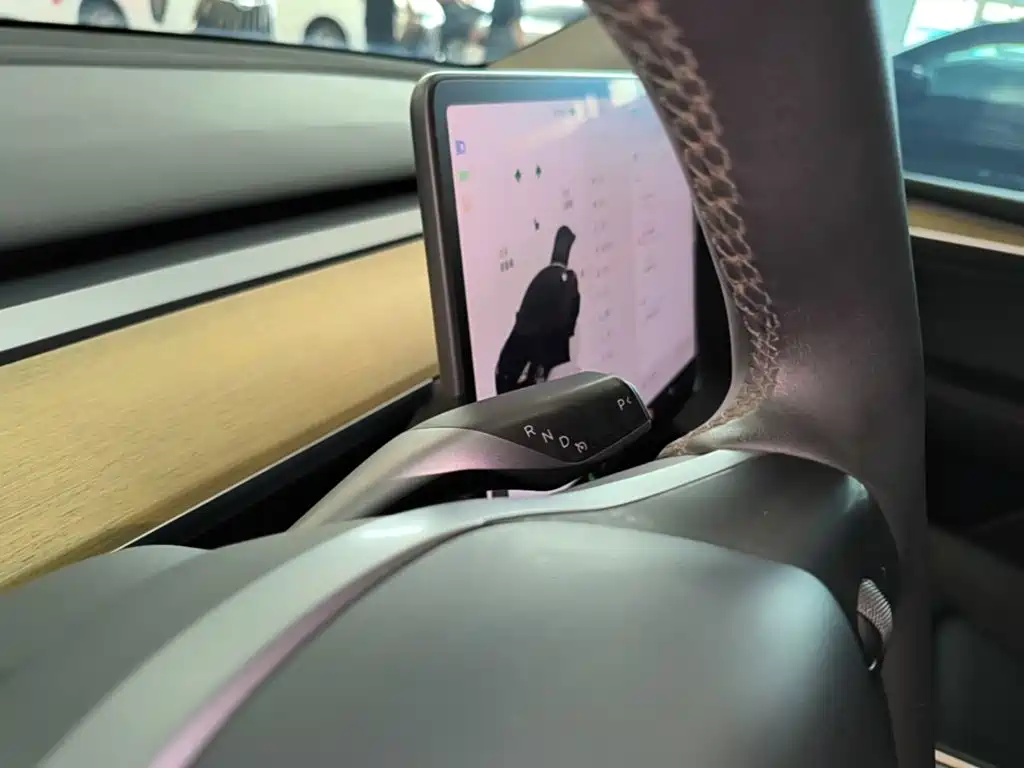 Model Y 2022 modified rear-wheel drive version купить на сайте DeffCars