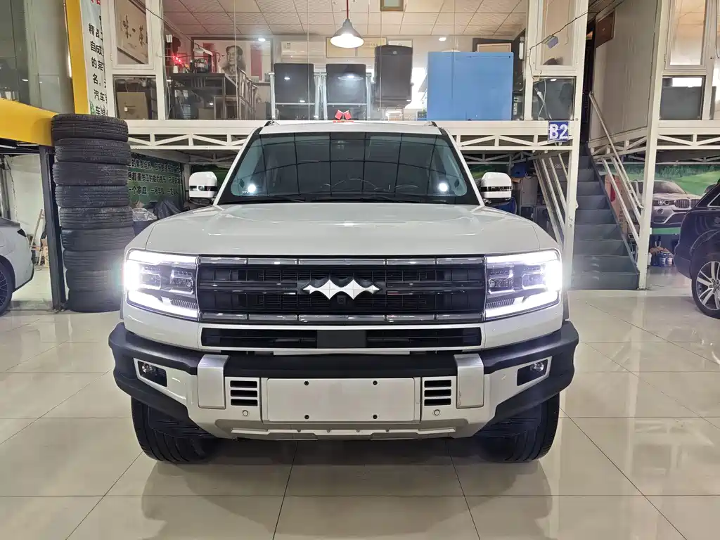 Leopard 5 2023 Discovery Edition купить на сайте DeffCars