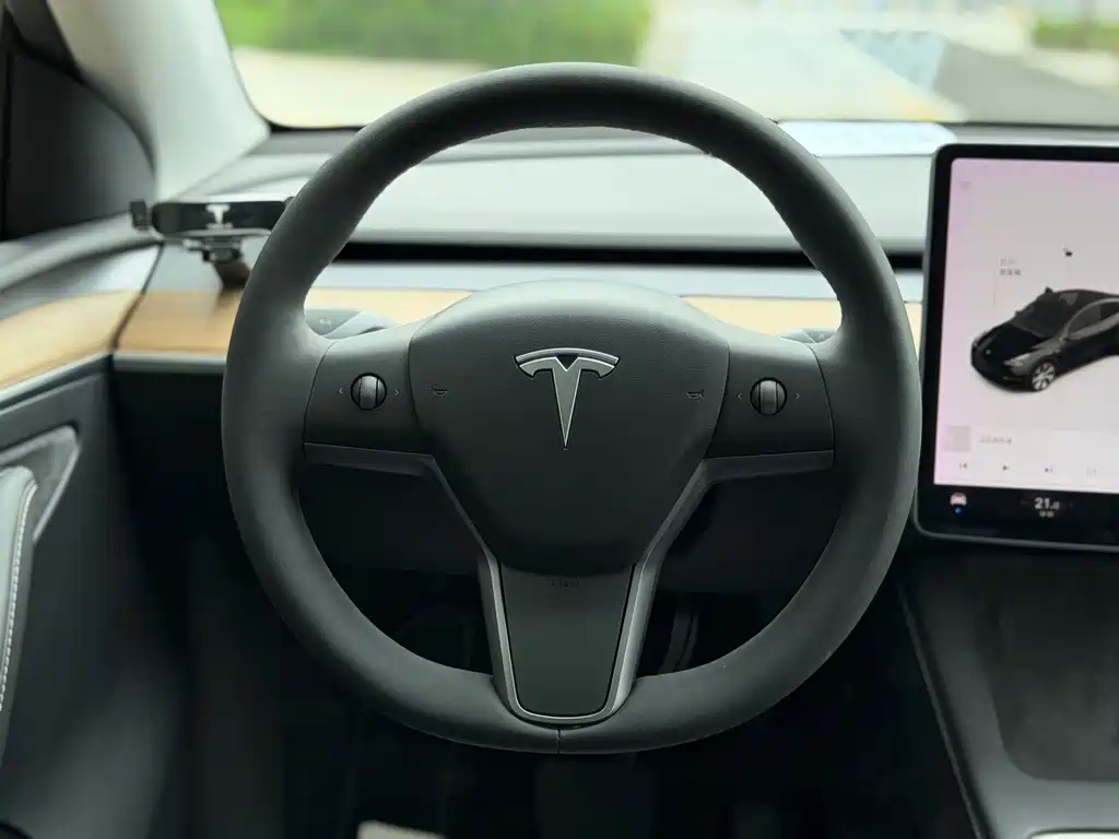 Model Y 2021 standard range rear-wheel drive version купить на сайте DeffCars