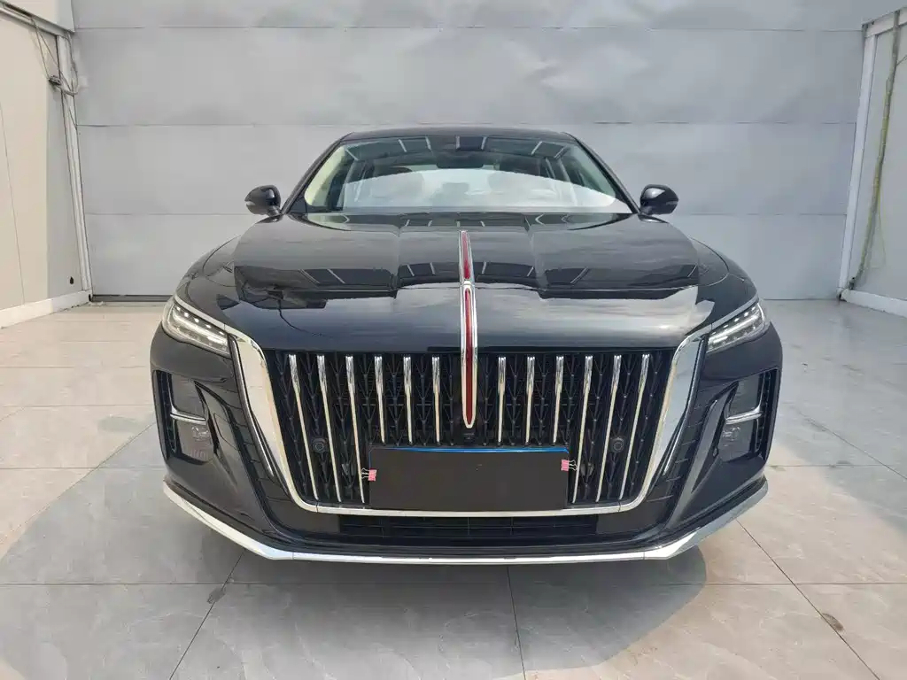 Red Flag Hongqi H5 2025 2.0T Automatic купить на сайте DeffCars