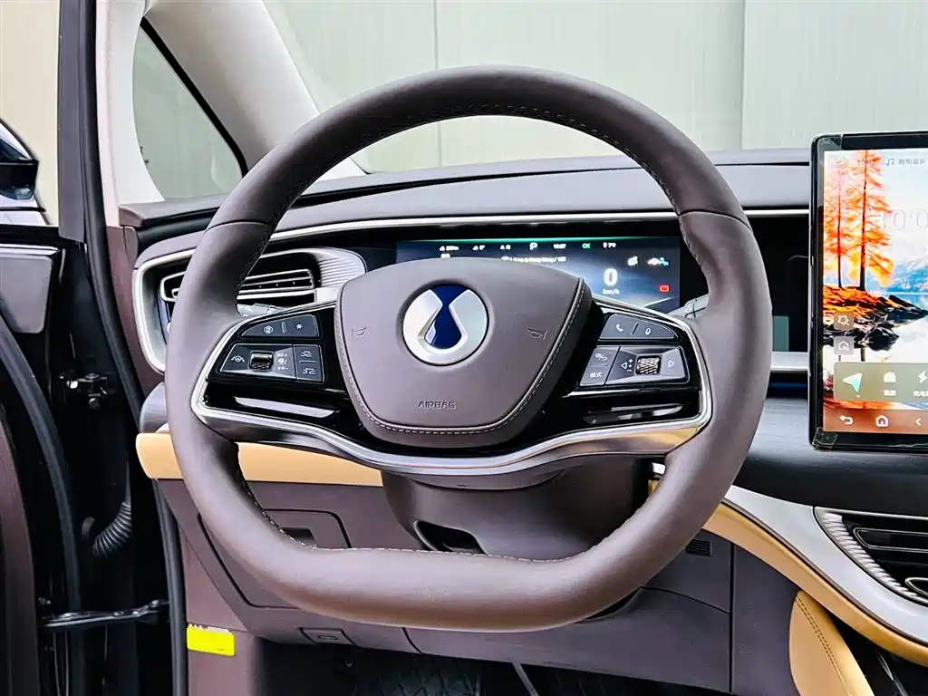 Denza D9 2024 DM-i 980 four-wheel drive premium model купить на сайте DeffCars