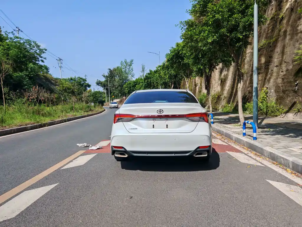 Asia Dragon 2019 2.0L Deluxe Edition National VI купить на сайте DeffCars
