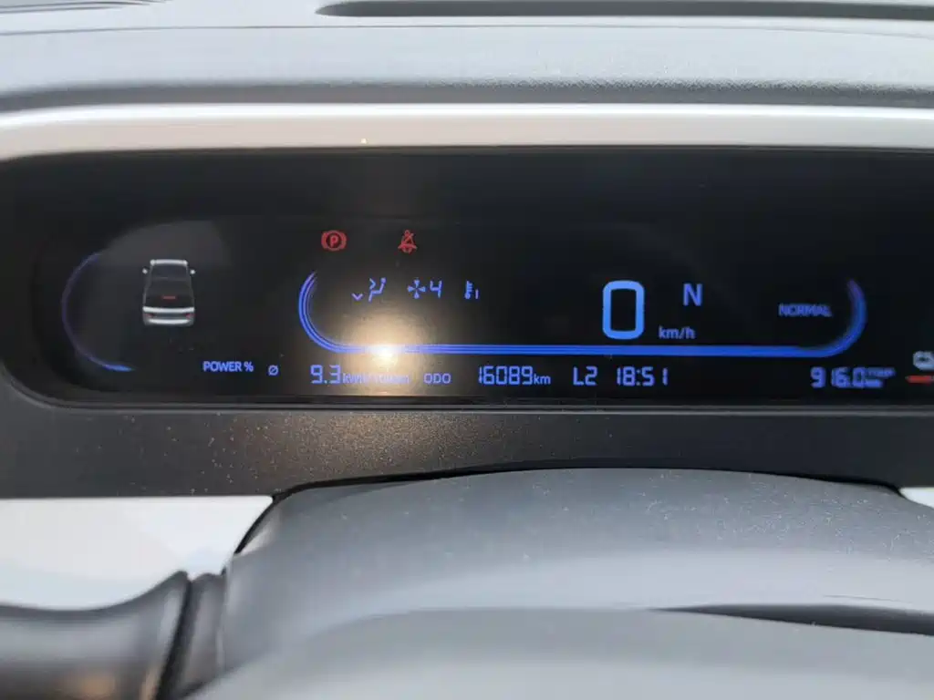Panda 2025 Panda mini 210km Yuanqi Bear купить на сайте DeffCars