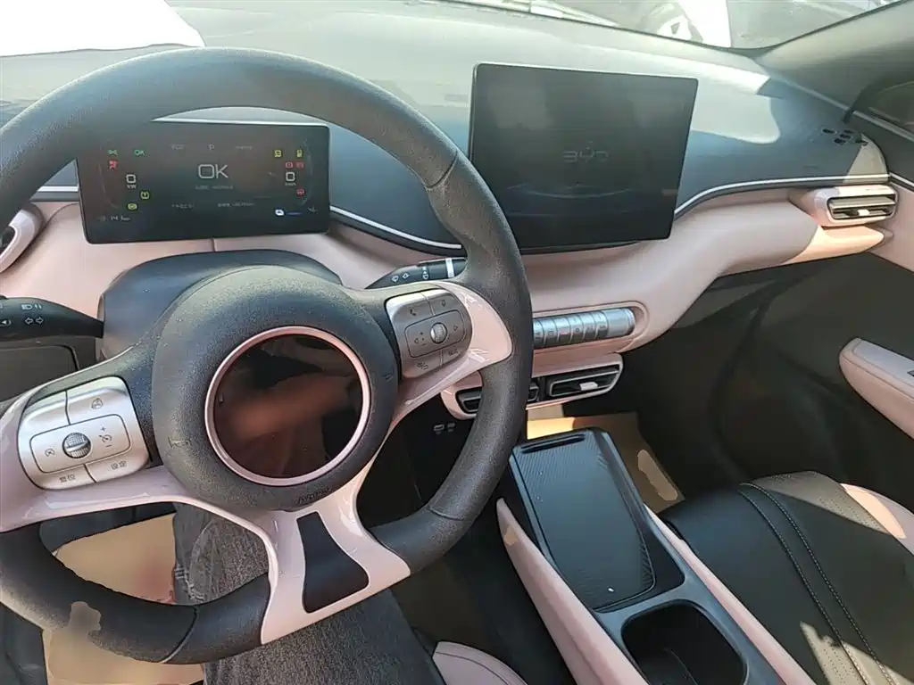 Seagull 2025 305km active version купить на сайте DeffCars