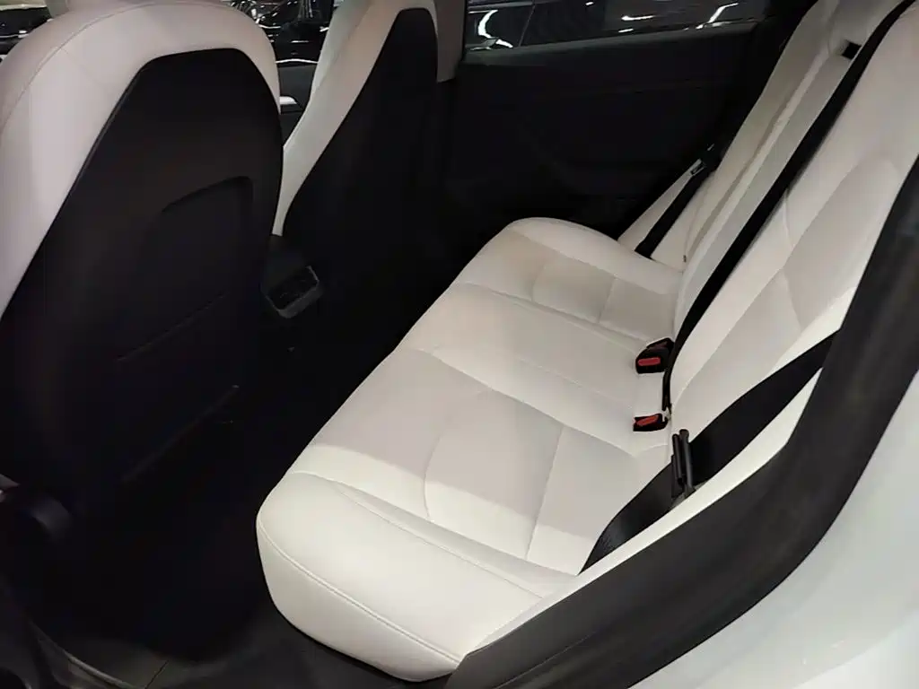 Model 3 2021 Standard Range Rear Drive Upgraded Version купить на сайте DeffCars