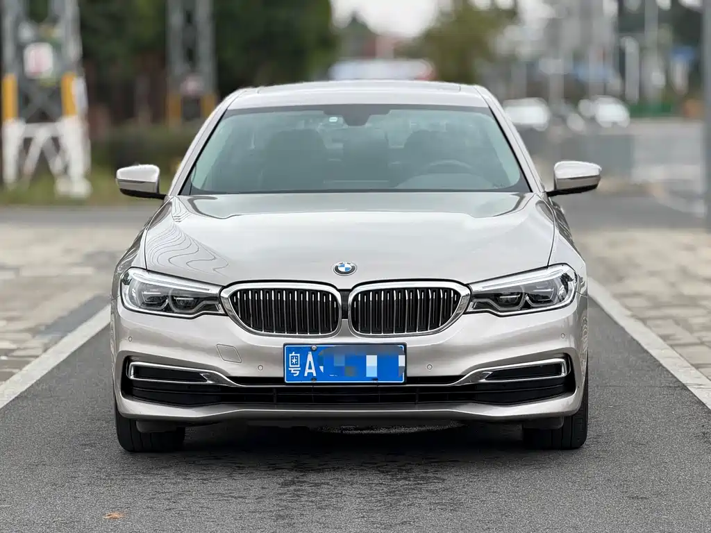 BMW 5 Series 2020 530Li Leading Luxury Package купить на сайте DeffCars