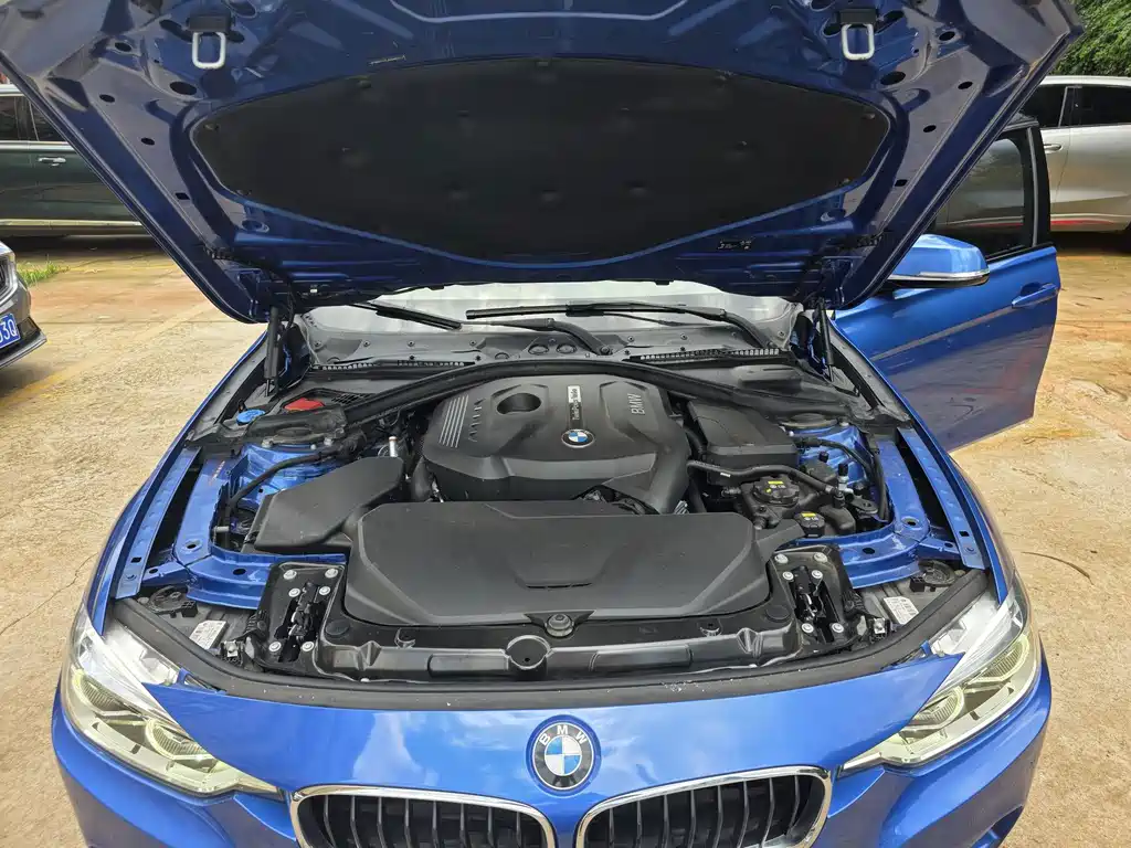 BMW 3 Series 2018 320Li Leading M Sports Package купить на сайте DeffCars