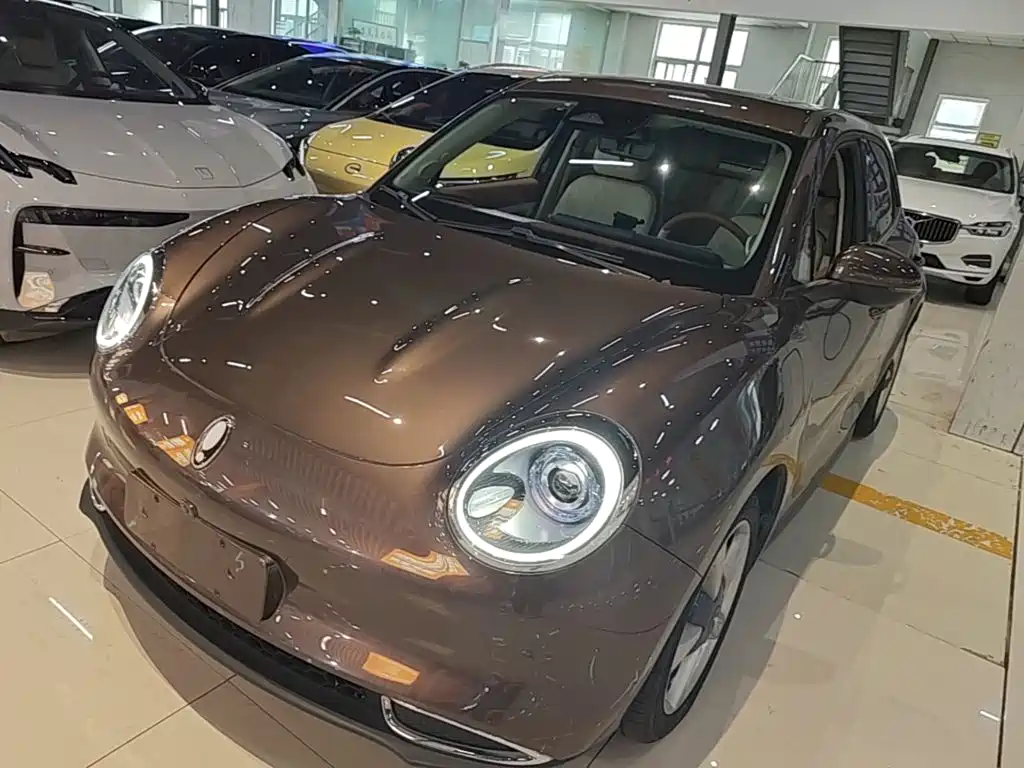 Euler Good Cat 2021 Model 400km Standard Range Venus Edition Lithium Iron Phosphate купить на сайте DeffCars