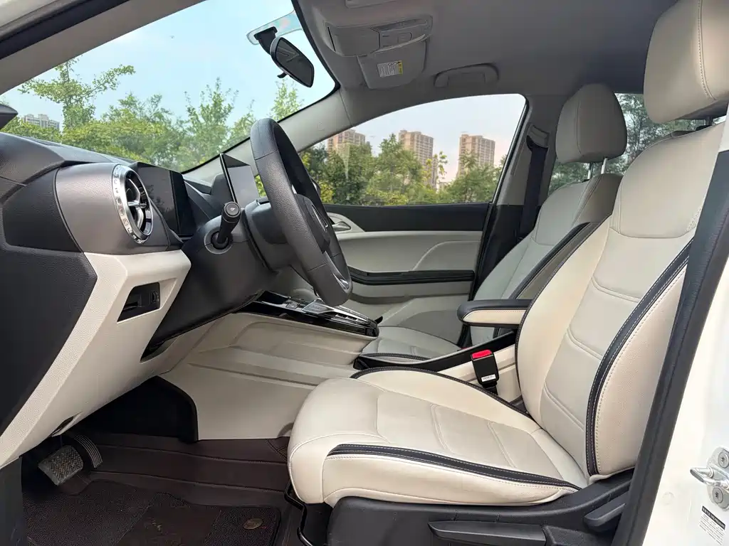 Yuan Pro 2021 Love Lifetime Edition купить на сайте DeffCars