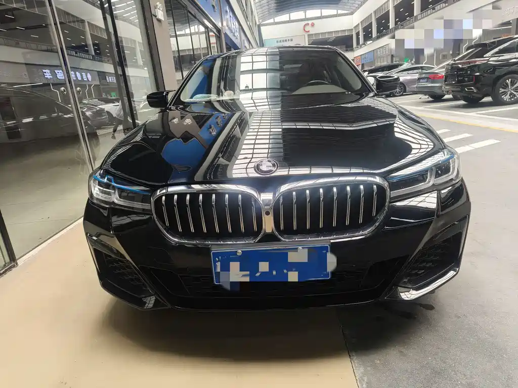 BMW 5 Series 2020 530Li Leading Luxury Package купить на сайте DeffCars