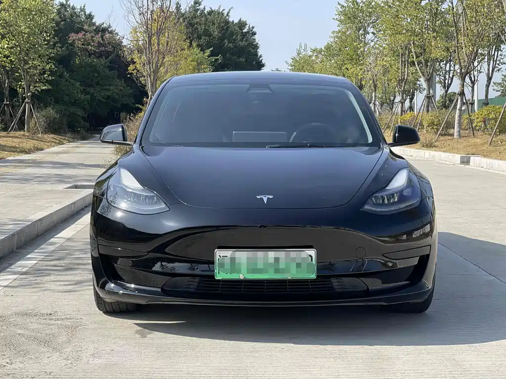Model 3 2021 Standard Range Rear Drive Upgraded Version купить на сайте DeffCars