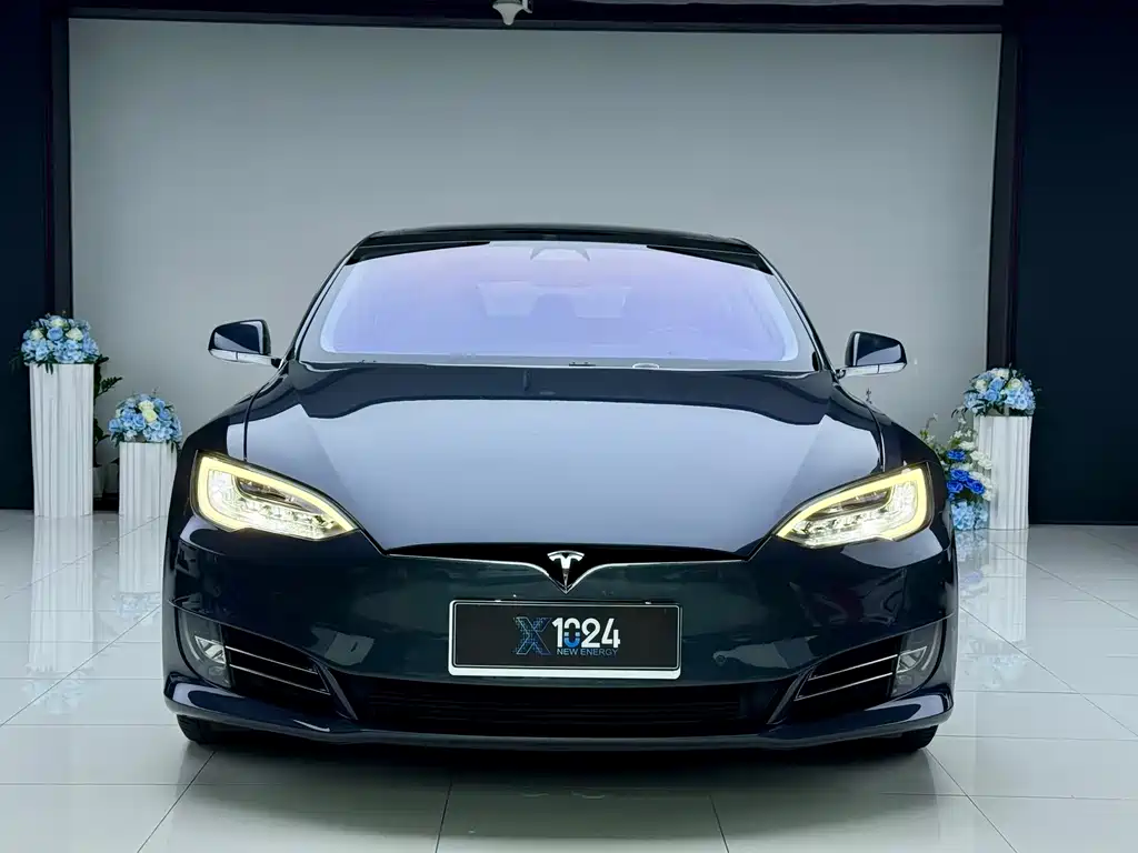 Model S 2017 Model S 100D Long Range Edition купить на сайте DeffCars