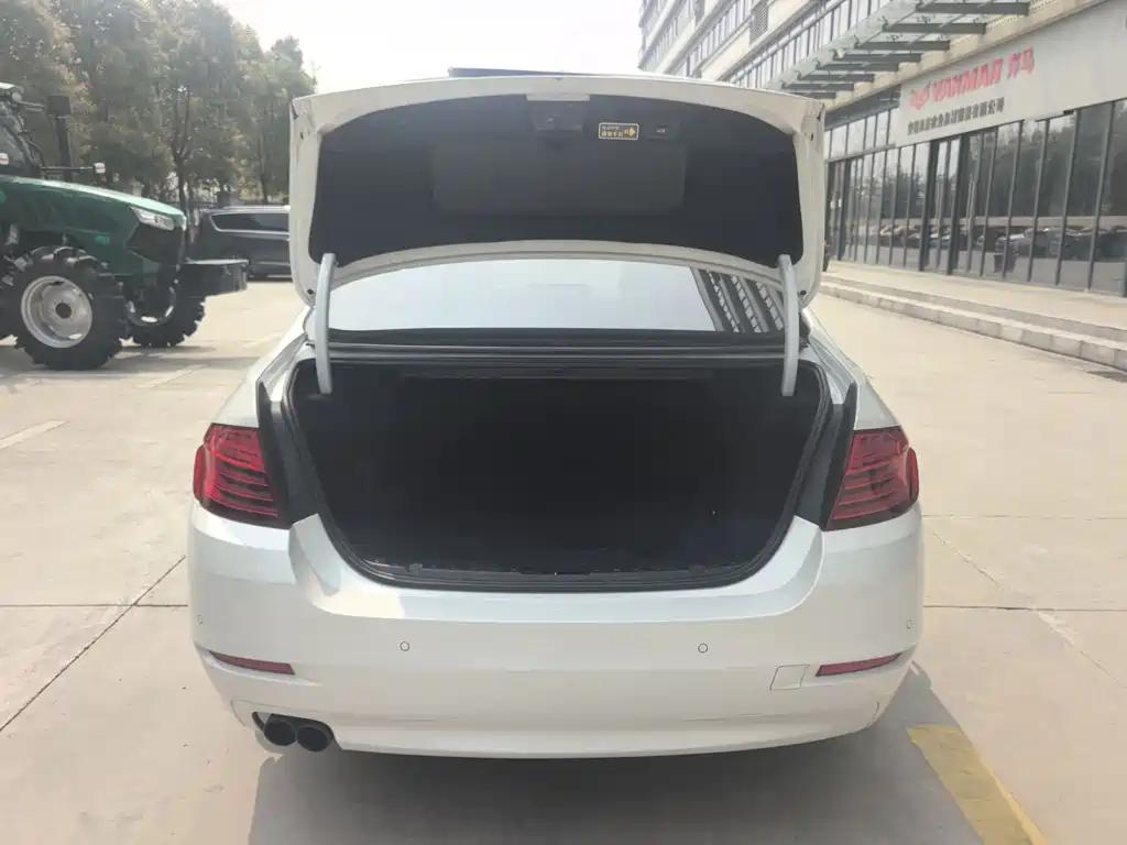 BMW 5 Series 2017 520Li Elegant купить на сайте DeffCars