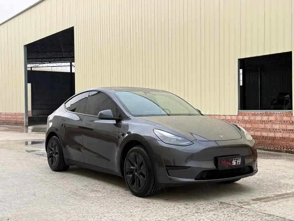 Model Y 2024 rear-wheel drive version купить на сайте DeffCars