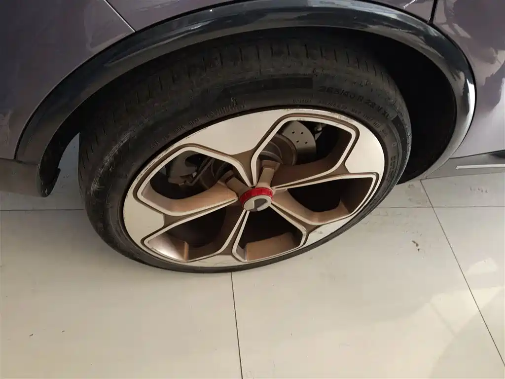 Denza X 2020 PHEV flagship version купить на сайте DeffCars