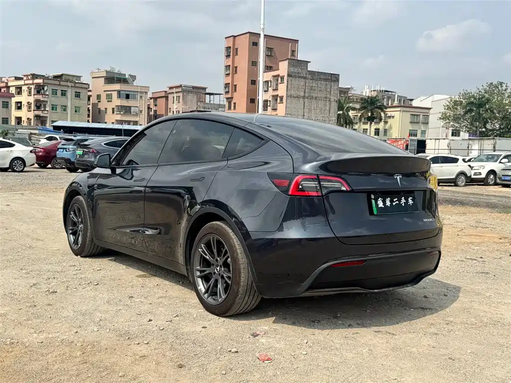 Model Y 2024 rear-wheel drive version купить на сайте DeffCars