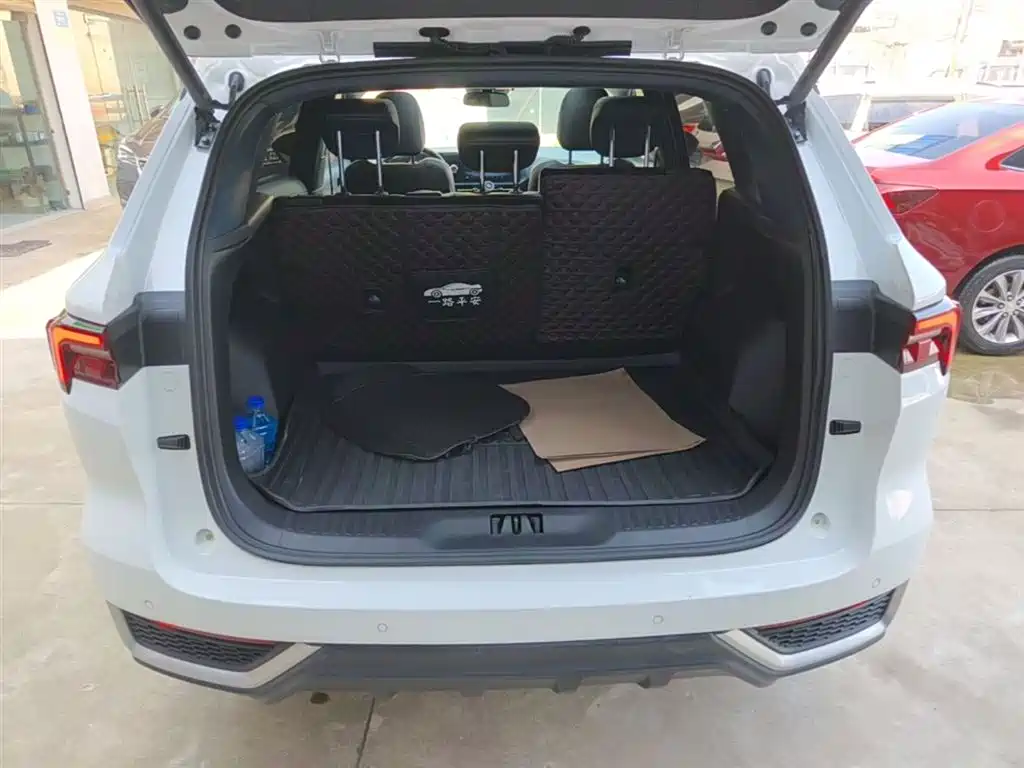 Lingrui 2022 EcoBoost 170 collar type купить на сайте DeffCars