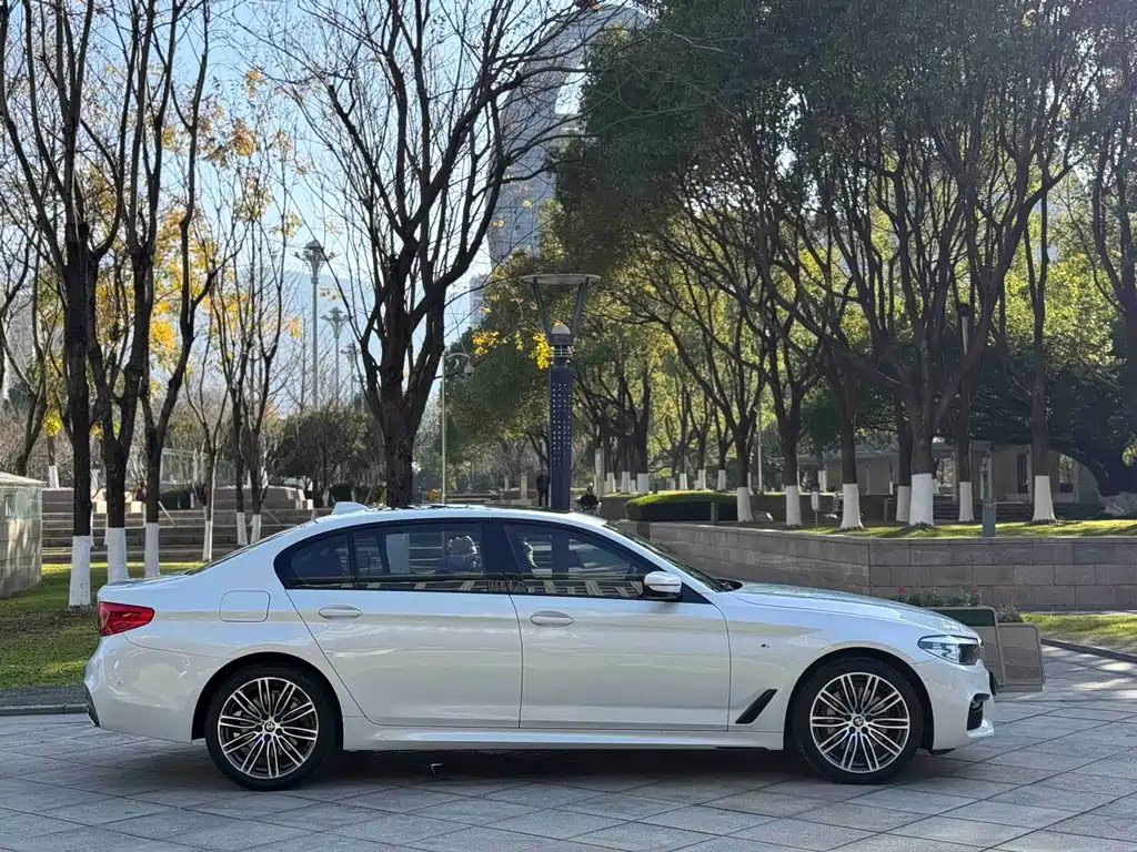 BMW 5 Series 2019 530Li Leading M Sports Package купить на сайте DeffCars