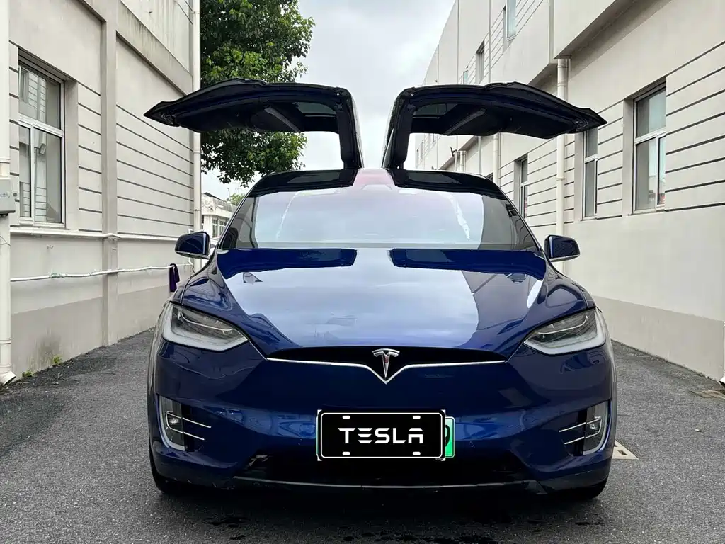 Model X 2019 Long Range Edition купить на сайте DeffCars