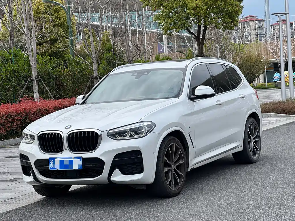 BMW X3 2020 xDrive30i Leading M Sports Package купить на сайте DeffCars