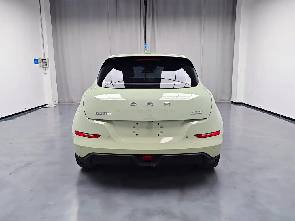 Euler Good Cat 2023 model 401km standard battery life luxury model lithium iron phosphate купить на сайте DeffCars