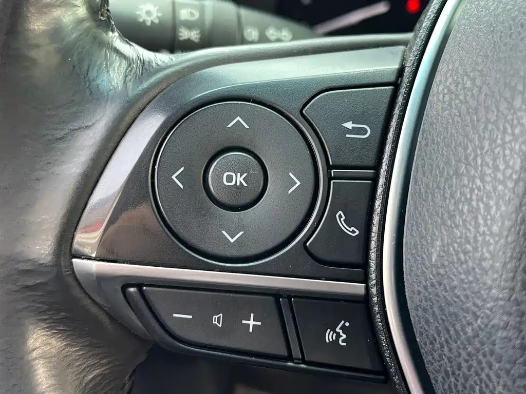 Asia Dragon 2019 2.0L Deluxe Edition National VI купить на сайте DeffCars