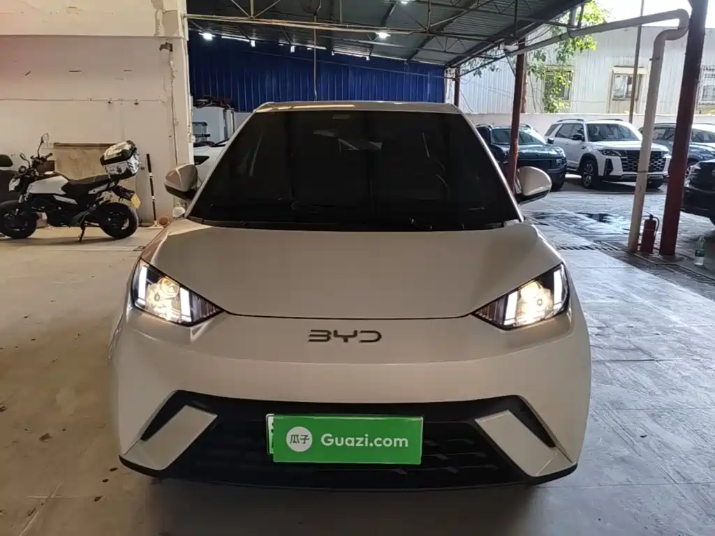 Seagull 2025 305km active version купить на сайте DeffCars