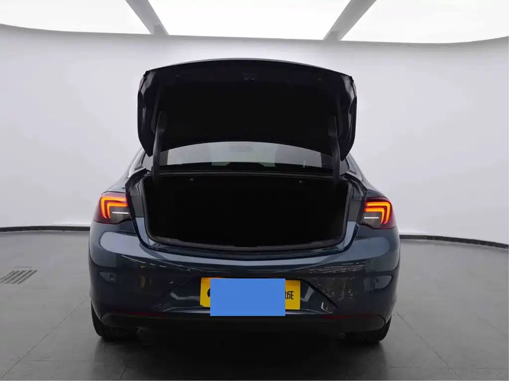 Regal 2019 20T Elite National VI купить на сайте DeffCars