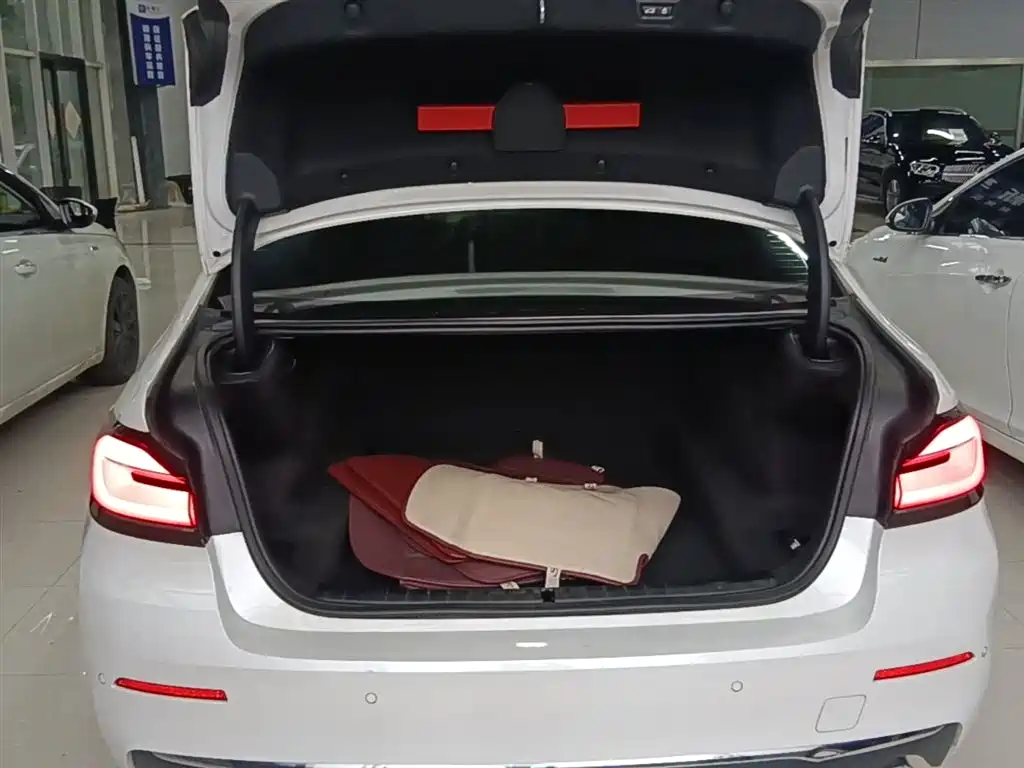 BMW 5 Series 2021 530Li Leading Luxury Package купить на сайте DeffCars
