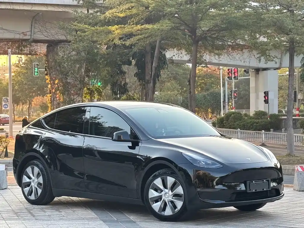Model Y 2021 standard range rear-wheel drive version купить на сайте DeffCars