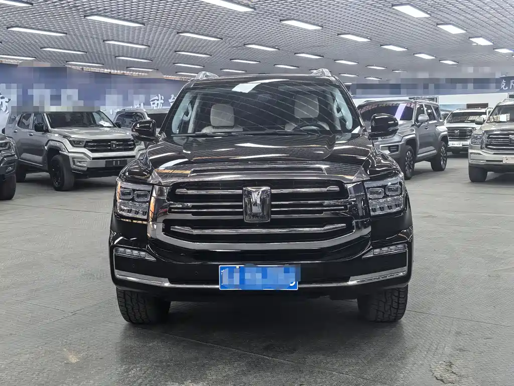 Tank 500 2022 model 3.0T sports version, environment type, 5 seats купить на сайте DeffCars