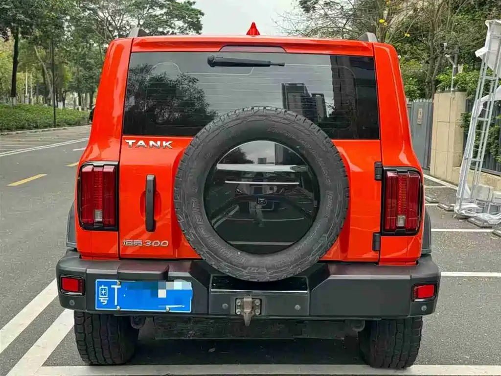 Tank 300 2021 Off-Road Version 2.0T Conqueror купить на сайте DeffCars