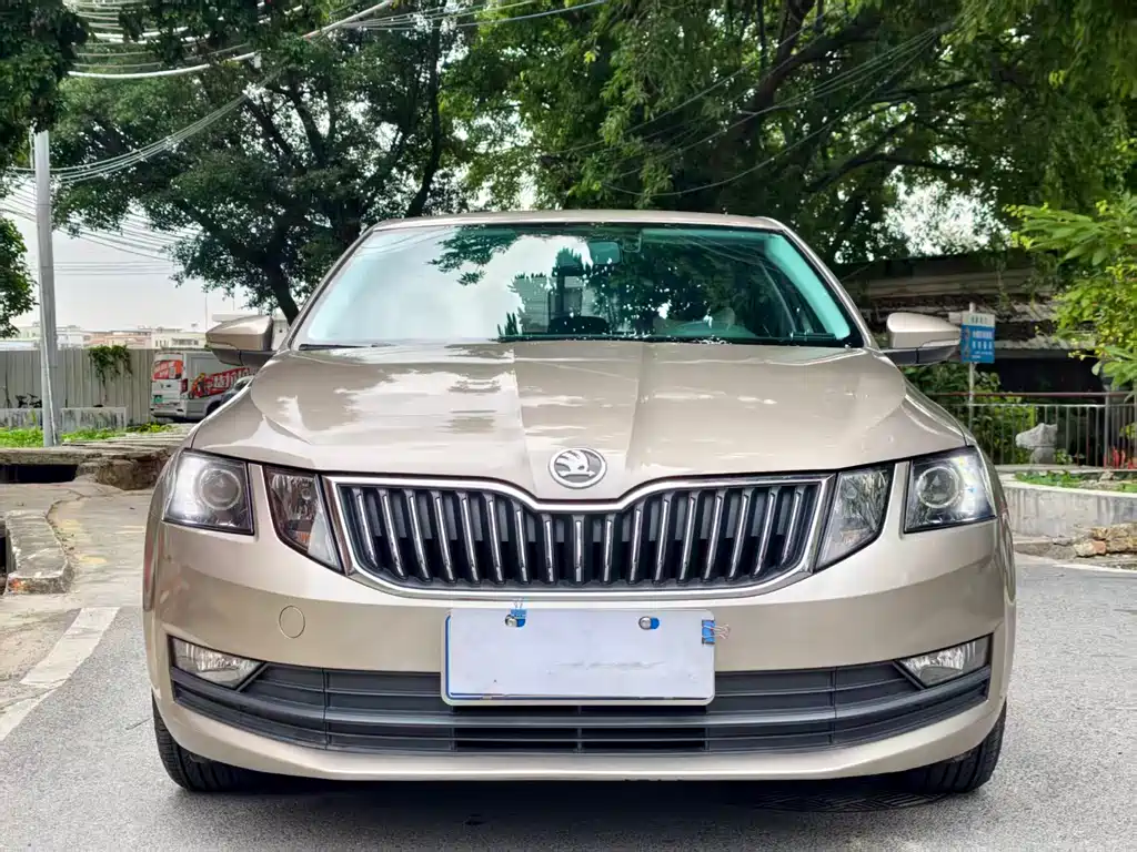 Octavia 2019 1.5L Automatic Intelligent Travel Comfort Edition National VI купить на сайте DeffCars
