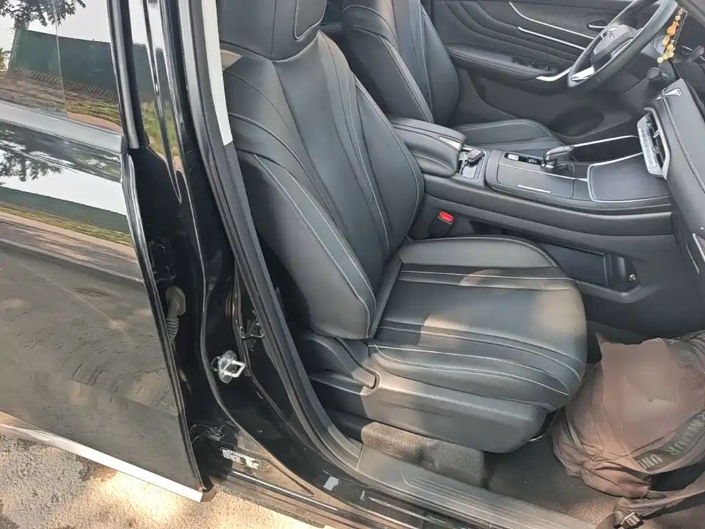 Venucia V 2023 260T Dark Horse Edition Pro купить на сайте DeffCars