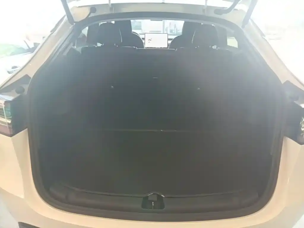 Model Y 2021 standard range rear-wheel drive version купить на сайте DeffCars