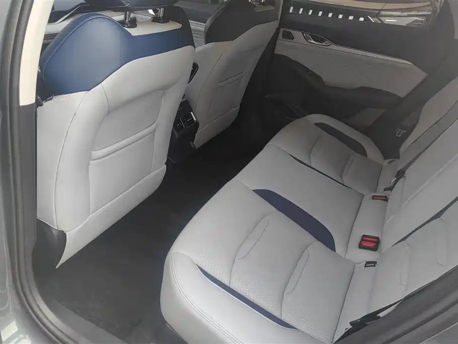 Xingrui 2021 2.0TD flagship model купить на сайте DeffCars