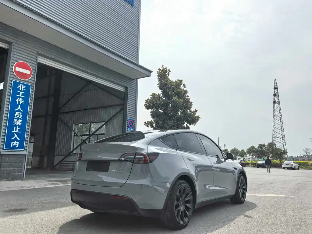 Model Y 2021 standard range rear-wheel drive version купить на сайте DeffCars