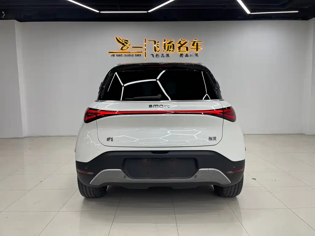 smart elf #1 2024 smart luxury version купить на сайте DeffCars
